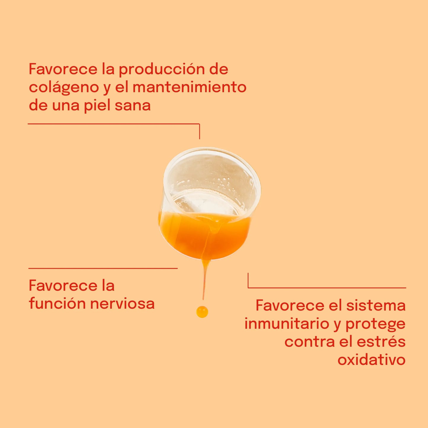 Vitamina C