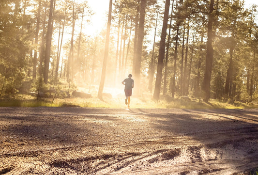 Aprendiendo a trotar: las preguntas y respuestas más importantes