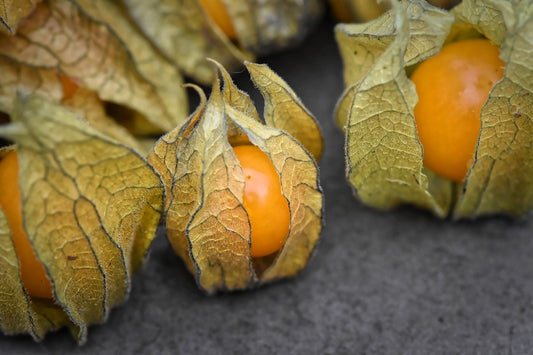 ¿La physalis está sana? Las preguntas y respuestas más importantes.