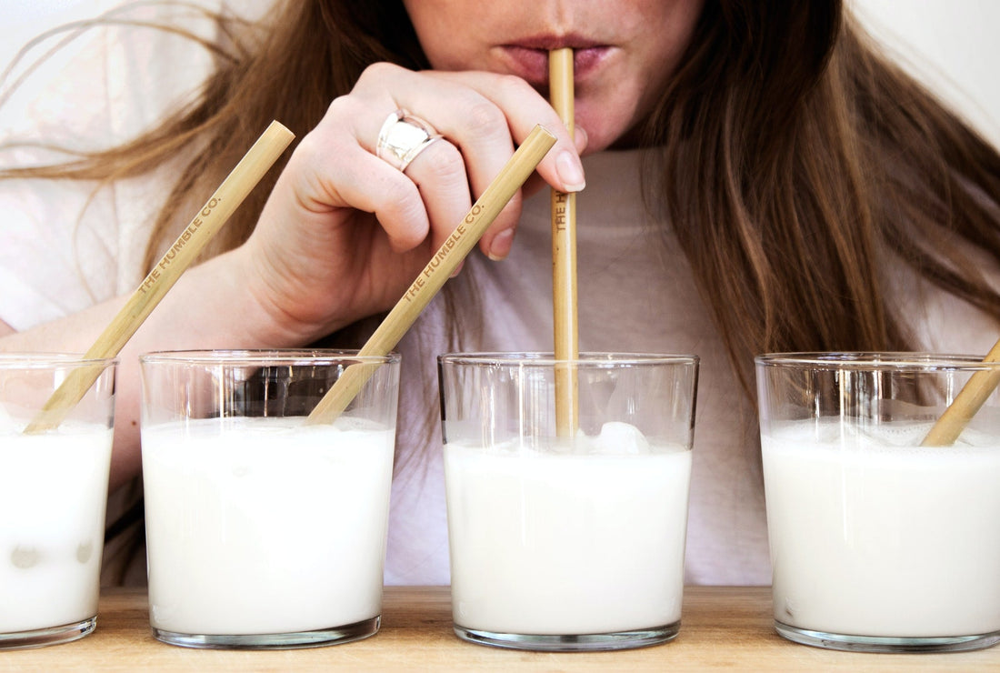 ¿La leche es saludable? La información y los hechos más importantes resumidos