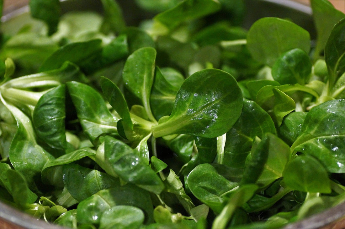 ¿Qué tan saludable es la lechuga de cordero? Información importante sobre nutrientes y consumo
